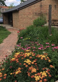 Pollinator Garden